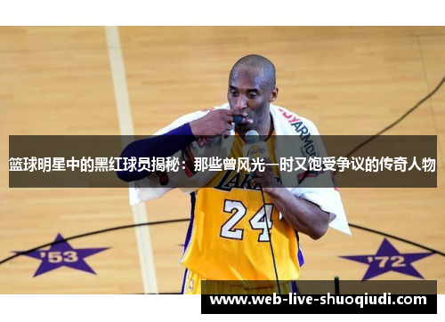篮球明星中的黑红球员揭秘:那些曾风光一时又饱受争议的传奇人物